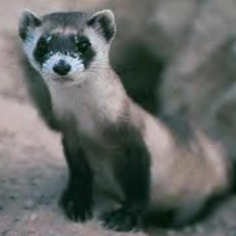 Github Knio Ling Demo - 8K Landscape Photos for Desktop