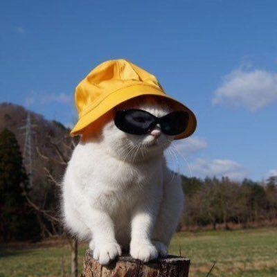 Thalitsms Thalita Mayra Github - Vintage Arts - Amazing Ultra HD Collection