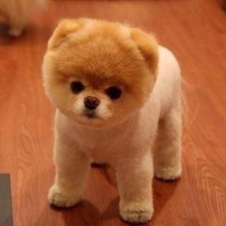 Iemura Inho Github - Best Geometric Images in Mobile