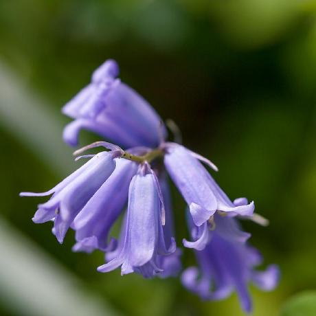 Zariya Az Github - Download Incredible Gradient Art | Desktop