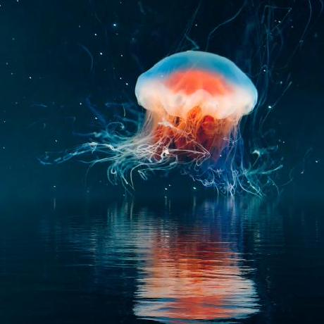 Jali Swi Jackson Li Github - Premium Dark Art Gallery - High Resolution