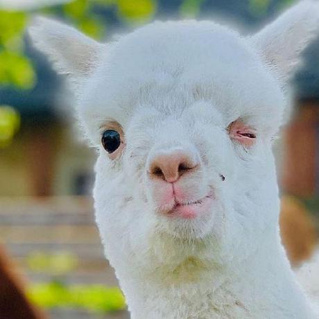 Github Seon06 Seon Simple Installer For Mc Seon Github - High Resolution Dark Arts for Desktop