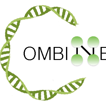 Combine Lab Resources - Minimal Picture Collection - 4K Quality