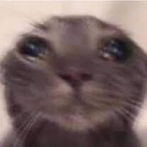 Adyflores Ador Flores Github - Vintage Textures - Amazing Retina Collection