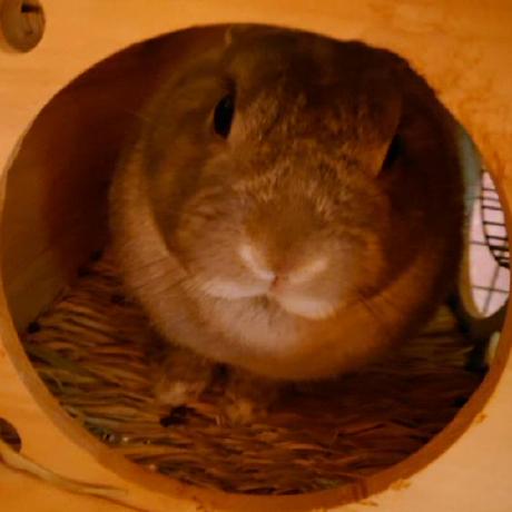 Jacarta Git Kyohei Github - Premium Light Picture Gallery - Full HD