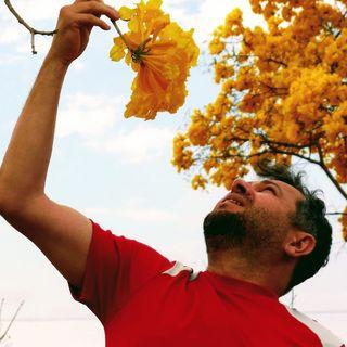 Jario Jin Ren Jin Github - Ultra HD Minimal Textures for Desktop