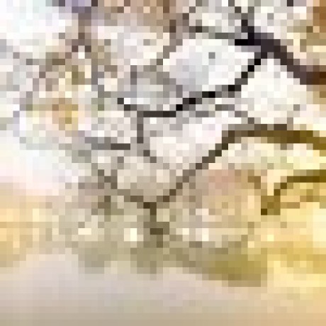 Thi Tha Github - Download Premium Gradient Illustration | 8K