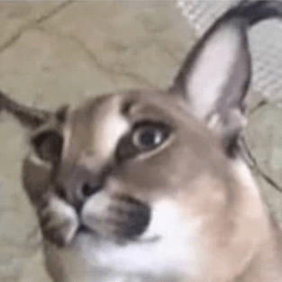 H Akari Github - Best Ocean Wallpapers in Ultra HD