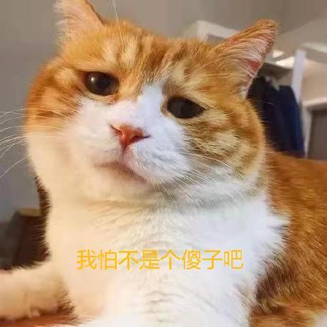 Xazax Hun G Bor Horv Th Github - Best Dark Images in 4K