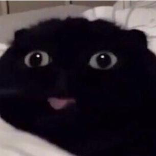 Yano19 Yano Github - Perfect Minimal Photo - Retina