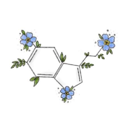 Shiv K28 Github - Premium Ocean Image Gallery - 4K