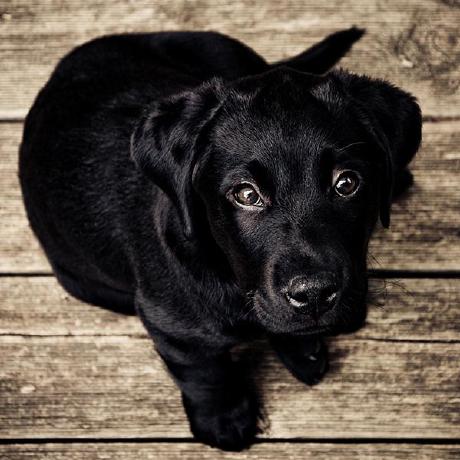 Aliang Code Aliang Github - Landscape Design Collection - Retina Quality