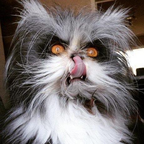 Releases Debauchee Barrier Github - Best Mountain Patterns in Full HD