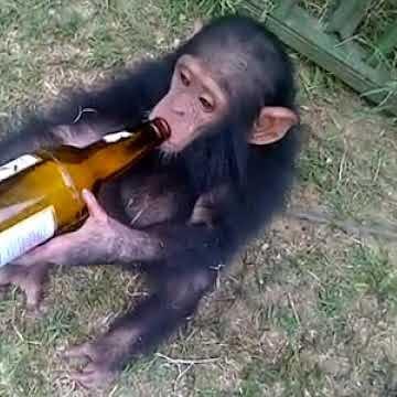 Vitormatos07 Vitor Matos Neves Github - Colorful Pattern Collection - High Resolution Quality