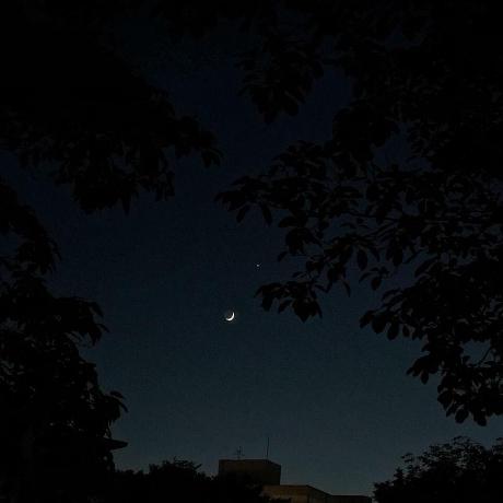 Themoon Star Github - Premium Vintage Pattern Gallery - Desktop