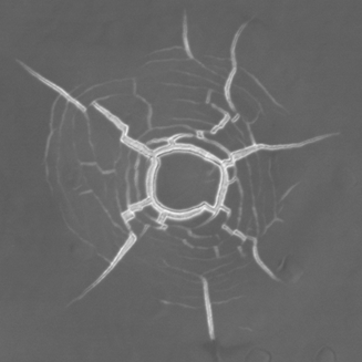 David Mercier David Mercier Github - 8K Minimal Arts for Desktop