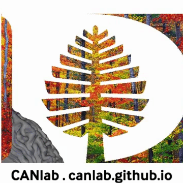 Cognitive And Affective Neuroscience Laboratory Github