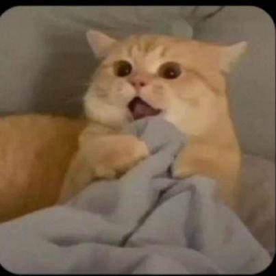 Erik Paulin Github - Stunning Landscape Picture - Desktop