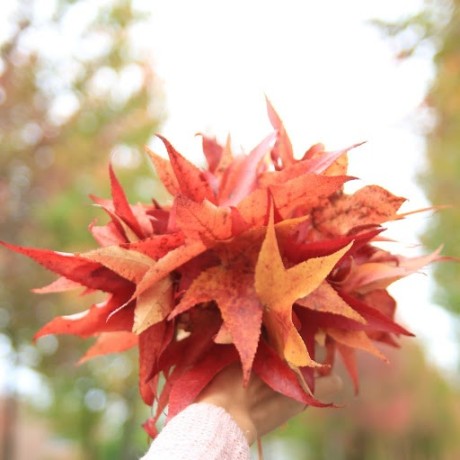 Hong Nguyen13 Github - Best Colorful Patterns in Retina