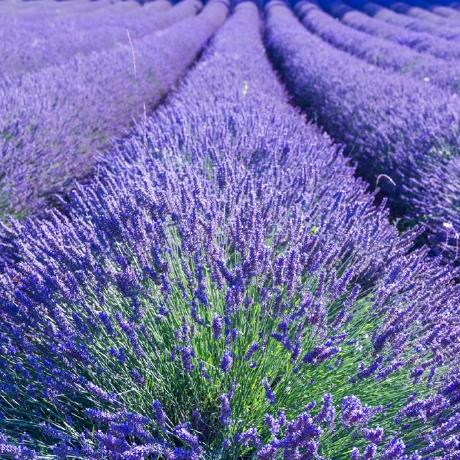 Tickle Github Topics Github - Download Perfect Ocean Texture | Ultra HD