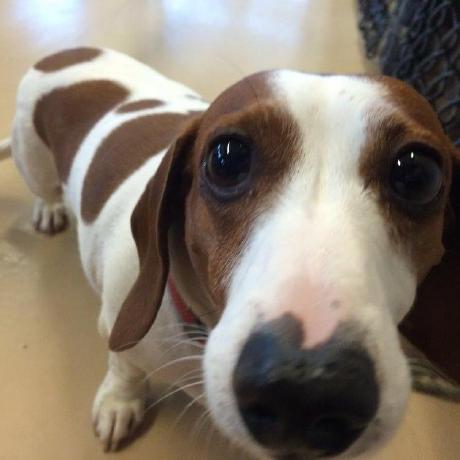 Wes0617 Wes Github - Download Elegant Landscape Photo | Retina