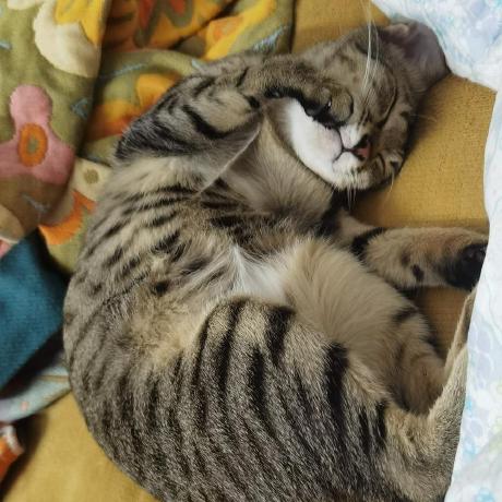 Picv888 Xiaomei Github - Gradient Wallpapers - Beautiful Desktop Collection