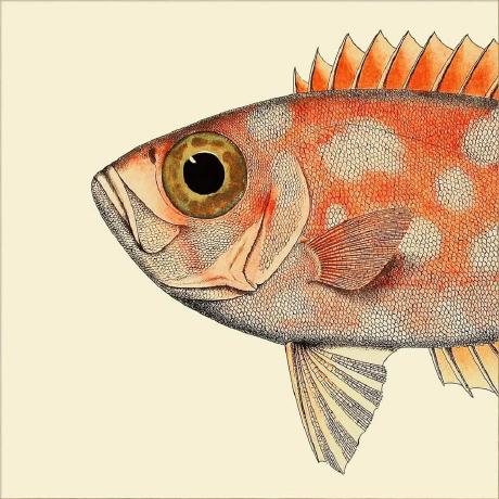 Johannes B Johannes Br Uer Github - Mountain Images - Artistic Desktop Collection