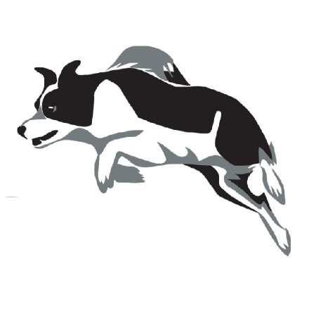 Frex Arup Arupananda Pal Github - Download Incredible Space Background | 8K