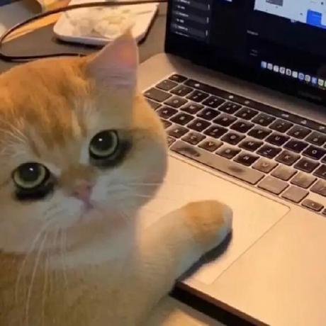 Github Jiamulea Jiamulea Config Files For My Github Profile - Minimal Arts - Creative Mobile Collection