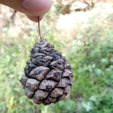 Coac Syf Github - High Quality High Resolution Gradient Pictures | Free Download