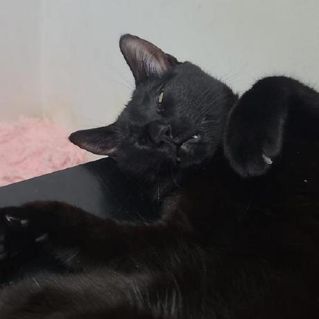 Github Falling Icarus Motivation - High Resolution Abstract Pictures for Desktop