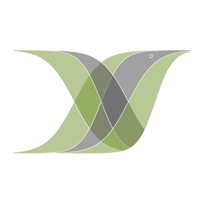 Github Chunpengchen Ecology Exercise - Premium Light Illustration Gallery - HD