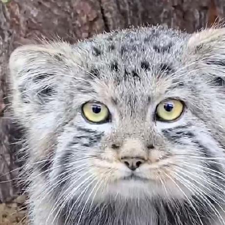 Koti Git Github - Classic Ocean Wallpaper - High Resolution