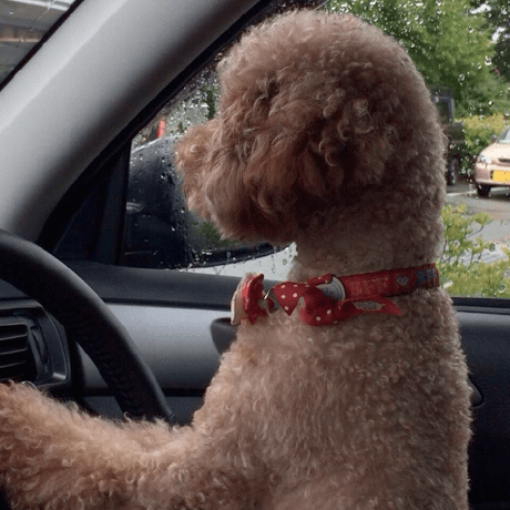 Uyutaka Yutaka Github - Geometric Art Collection - 8K Quality