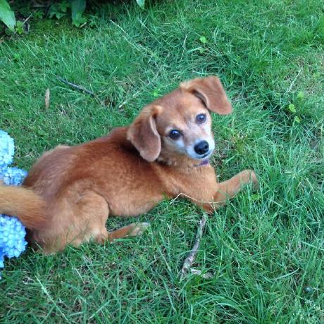 Marshallward Marshall Ward Github - Download Ultra HD Sunset Image | Desktop