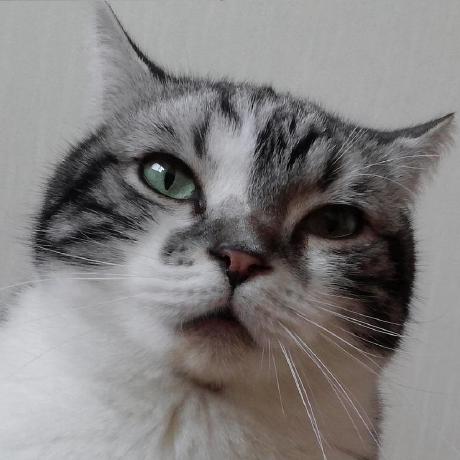 Healthy Purr Github - Classic Retina Vintage Backgrounds | Free Download