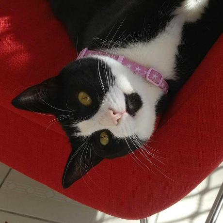 Bkirkpatrick Blair Kirkpatrick Github - City Illustrations - Elegant High Resolution Collection