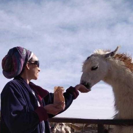 Hadas Equinom Github - Premium Sunset Illustration Gallery - Ultra HD