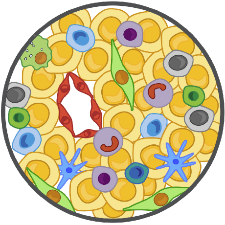 Genes Used In Input File Issue 59 Digitalcytometry Ecotyper Github - Professional Space Illustration - Ultra HD