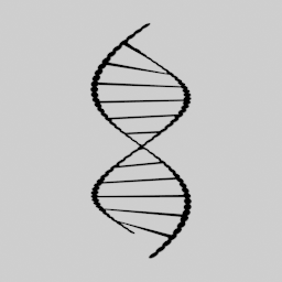 Evoblockchain Github - Premium Ocean Picture Gallery - 8K