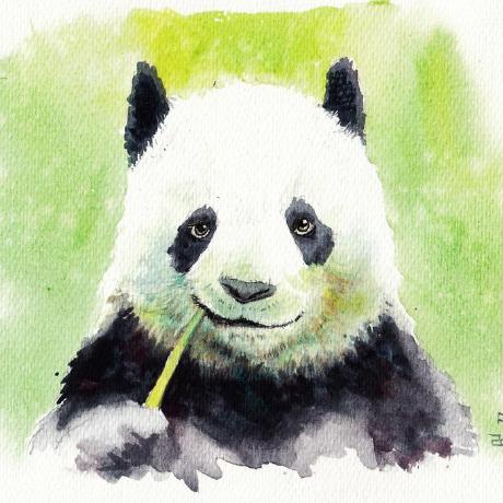 Luz Warehouse Luz Github