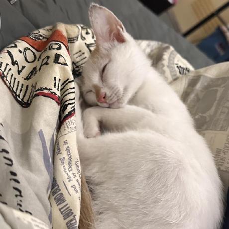 Emin Emin Kura Github - Download Gorgeous Sunset Background | 8K