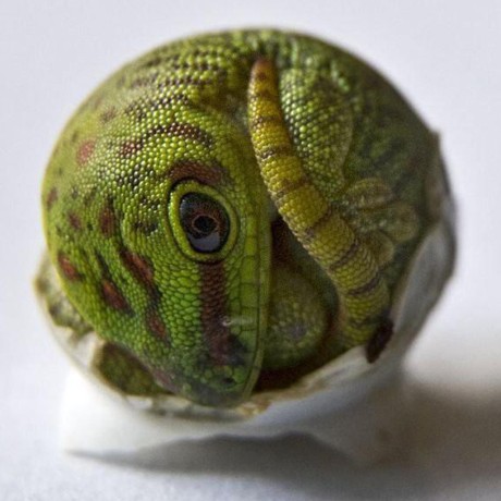 Adairowo Adair Github - Sunset Wallpapers - Gorgeous Ultra HD Collection