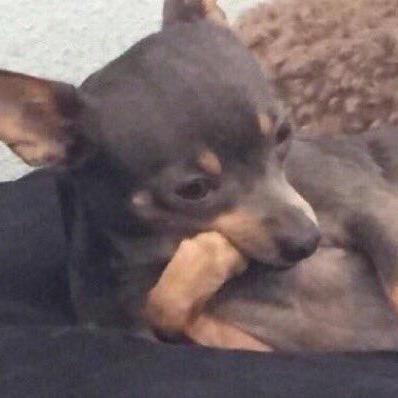 Zzdoba Rinat Sultanov Github - Minimal Photos - High Quality Full HD Collection