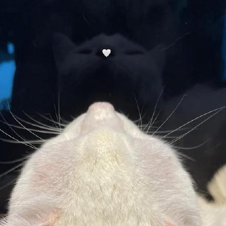 Hye Hyun Github - Best Dark Backgrounds in Ultra HD