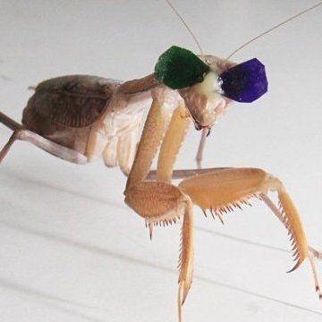 Benton Anderson Ben Anderson Github - Light Images - Perfect Mobile Collection