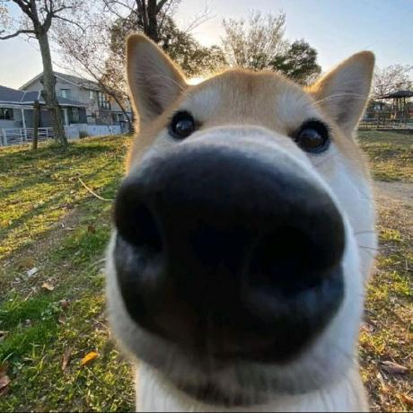 Chao Hd Github - Premium City Image Gallery - Ultra HD