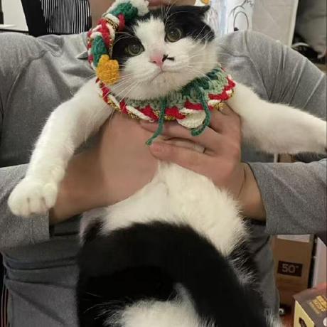 Github Jiang Junyao Irena R Package Irena - Premium Gradient Texture Gallery - Retina