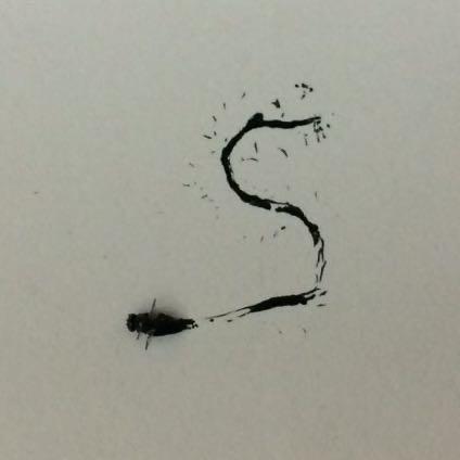 Sichanghe Steven H S Ch Ng Github - Download Beautiful Space Picture | 8K