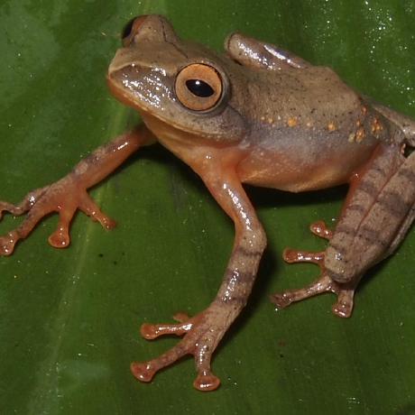 Kierenconnell Kieren Connell Github - Download Modern City Background | High Resolution